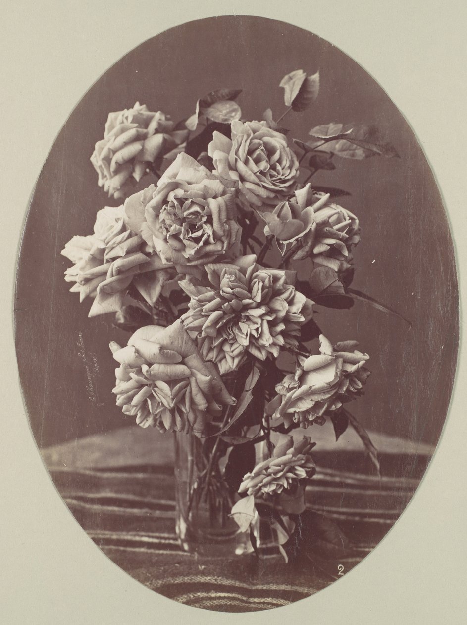 [Rózsák], kb. 1875. alkotó: Eugène Chauvigné