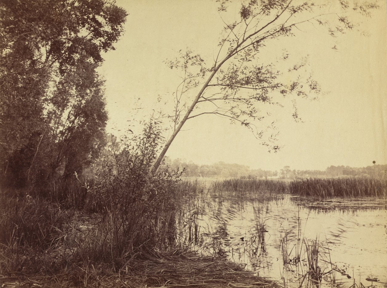 Marais de Fampoux, 1860-as évek eleje. alkotó: Eugène Cuvelier