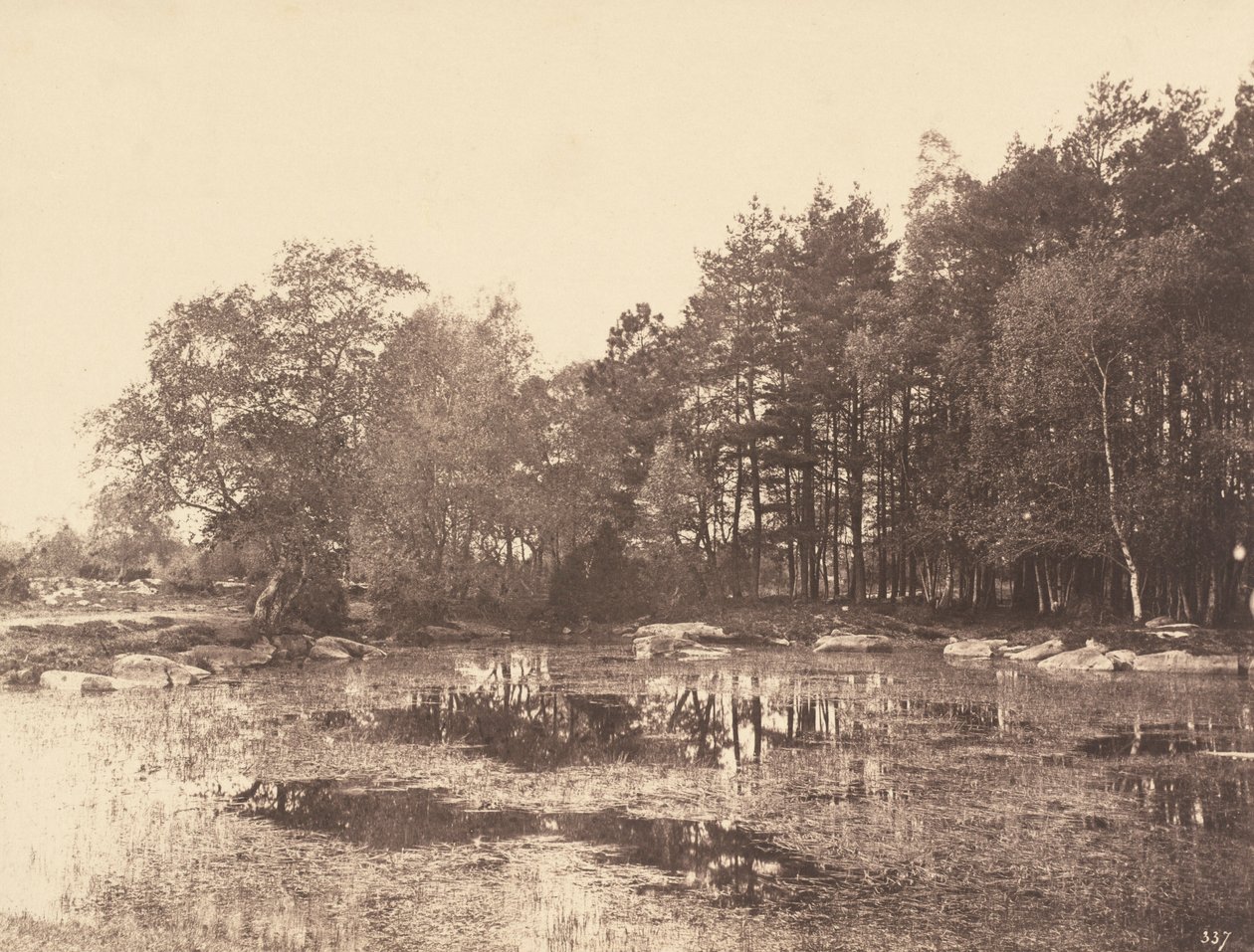 Mocsár Piatnál (Belle-Croix-fennsík), 1863 körül (fénykép) alkotó: Eugène Cuvelier