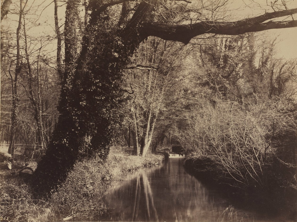 Parc de Courances, 1850-es évek vége (fénykép) alkotó: Eugène Cuvelier