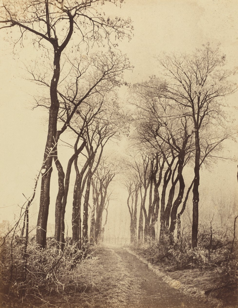 Út és fák dérrel, 1860. alkotó: Eugène Cuvelier