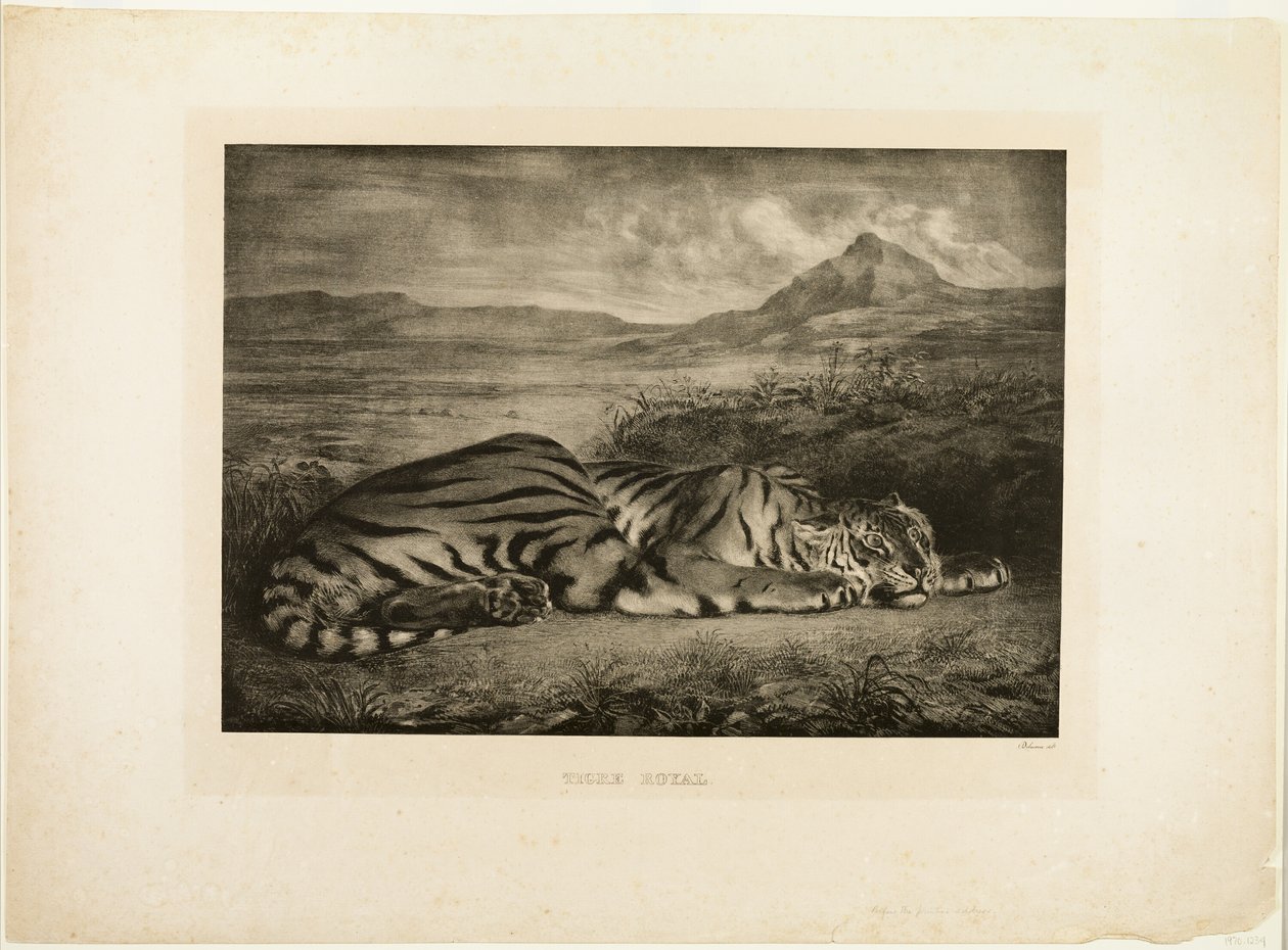Bengáli tigris alkotó: Eugène Delacroix
