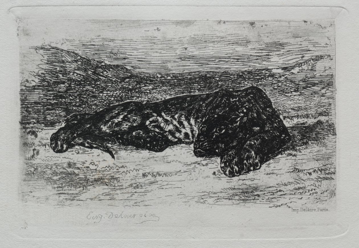 Guggoló tigris a sivatagban alkotó: Eugène Delacroix