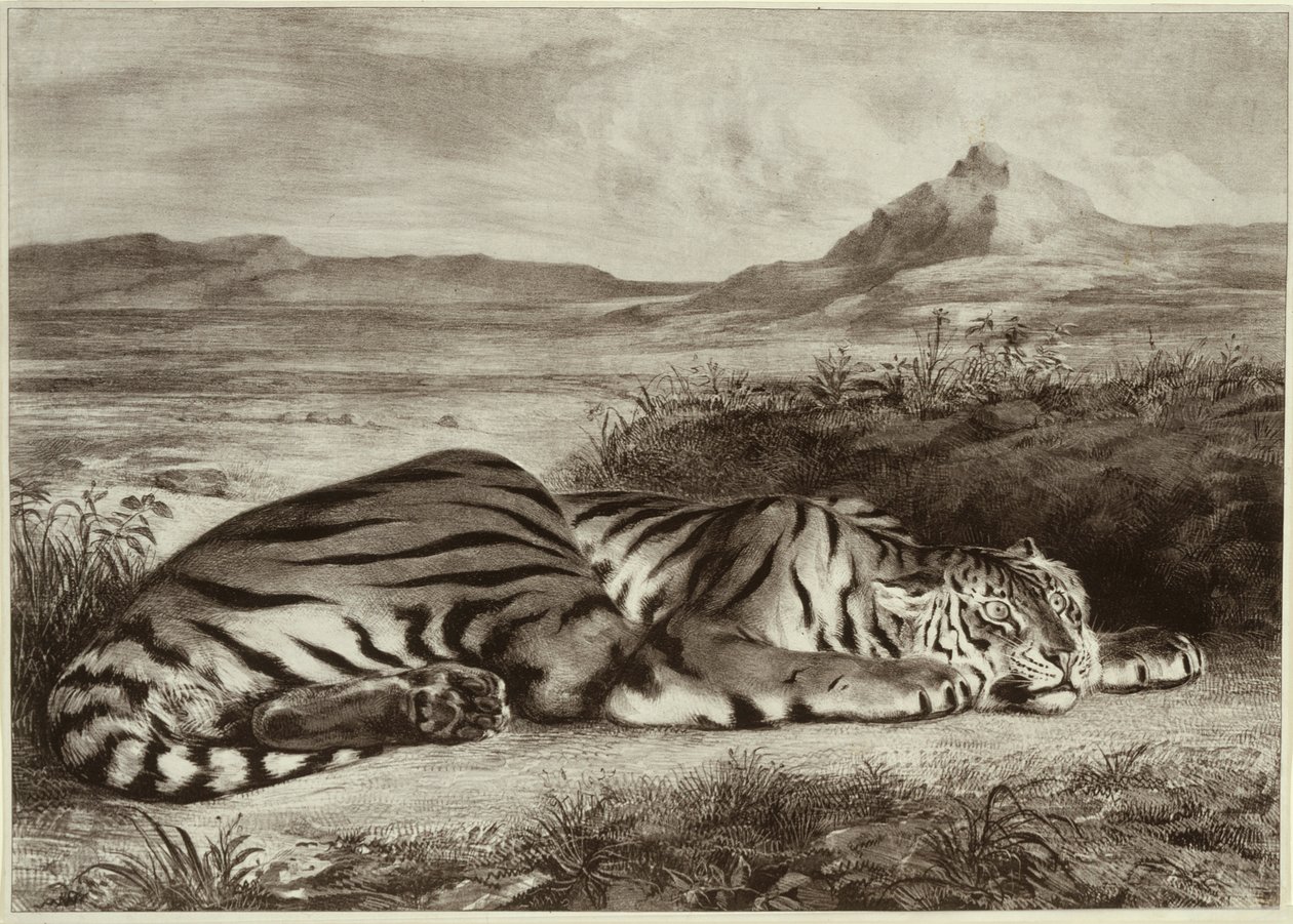 Királyi Tigris alkotó: Eugène Delacroix