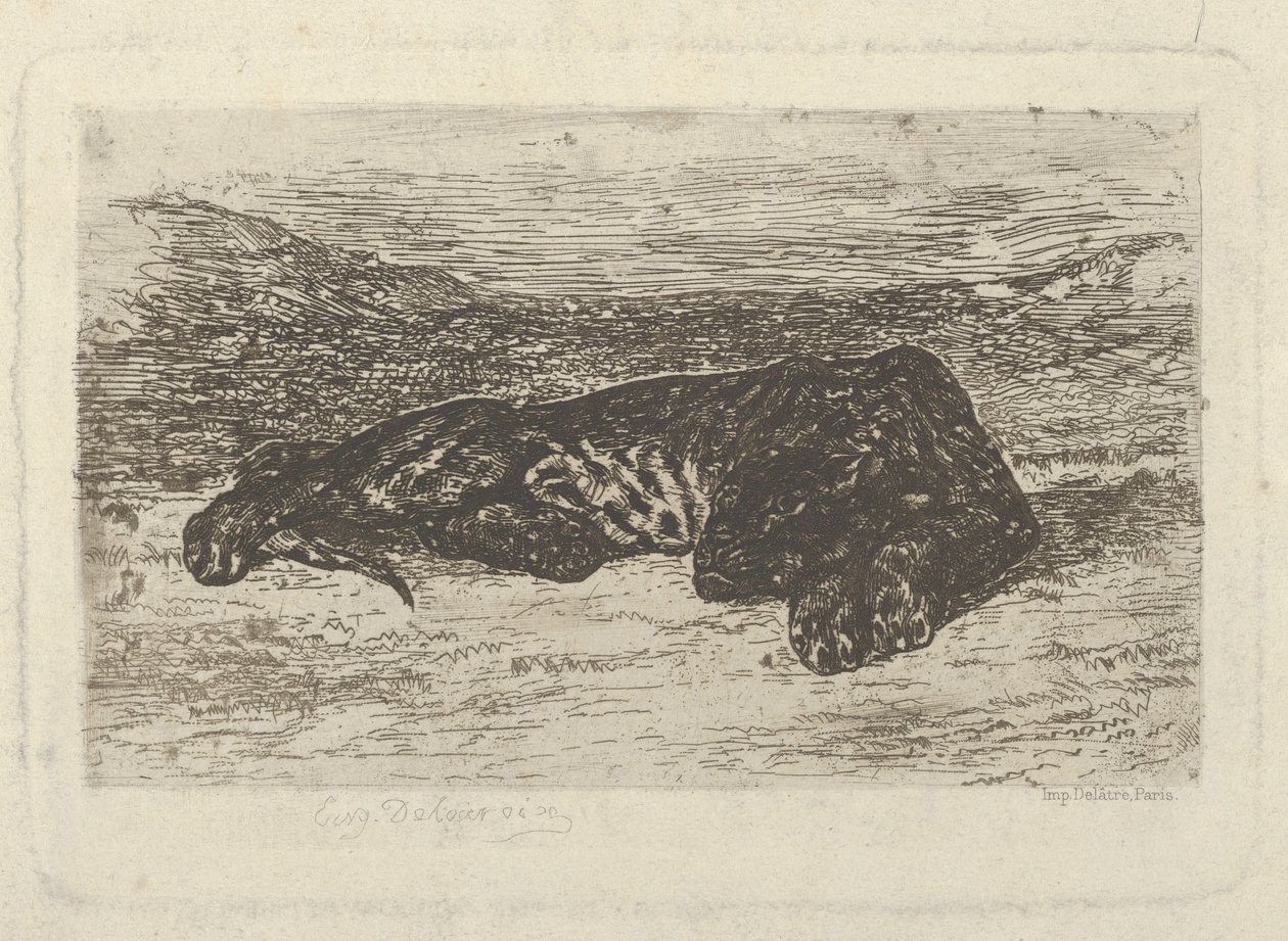 Tigris fekszik a sivatagban, 1846 ., 1846 . alkotó: Eugène Delacroix