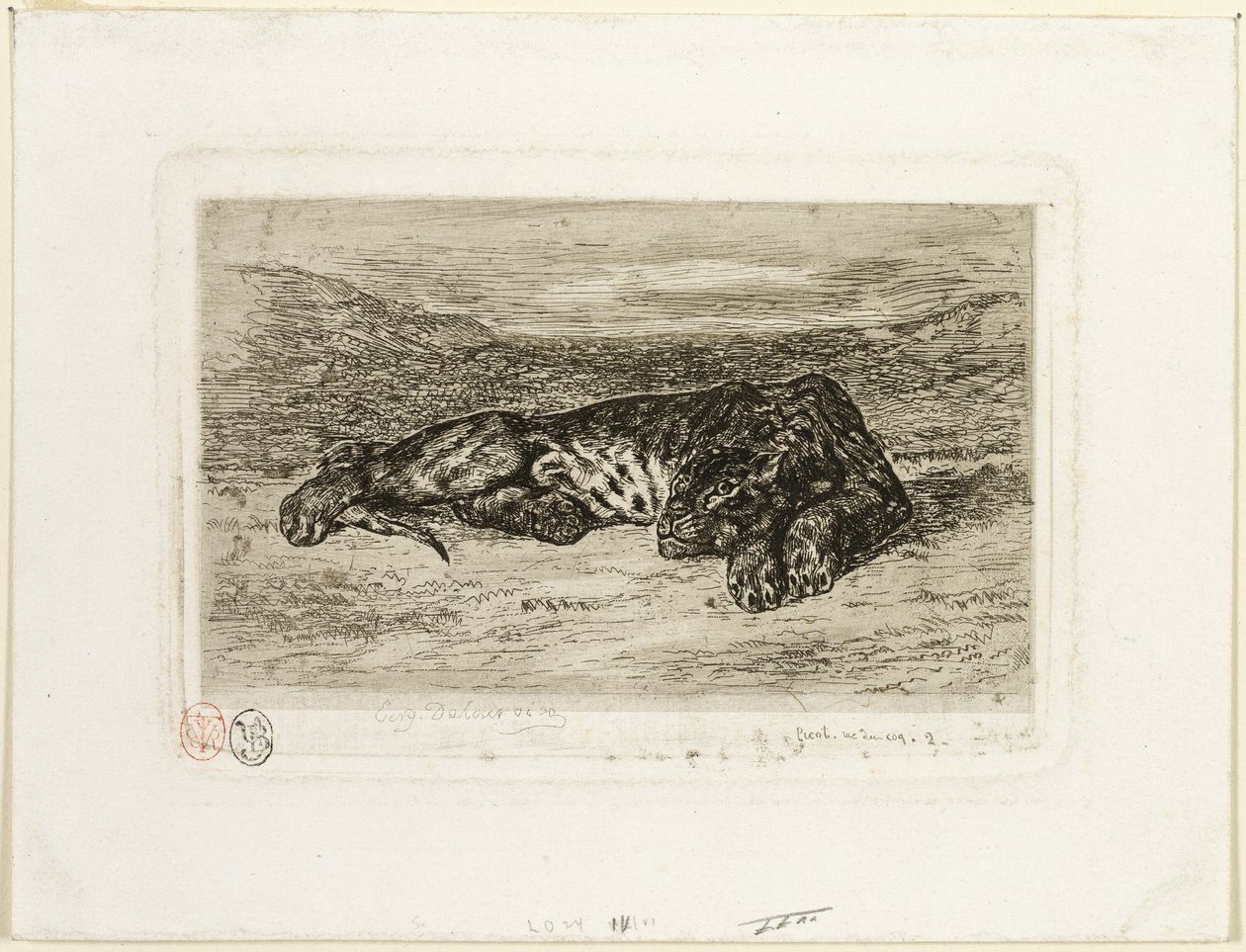 Tigris pihen a sivatagban alkotó: Eugène Delacroix