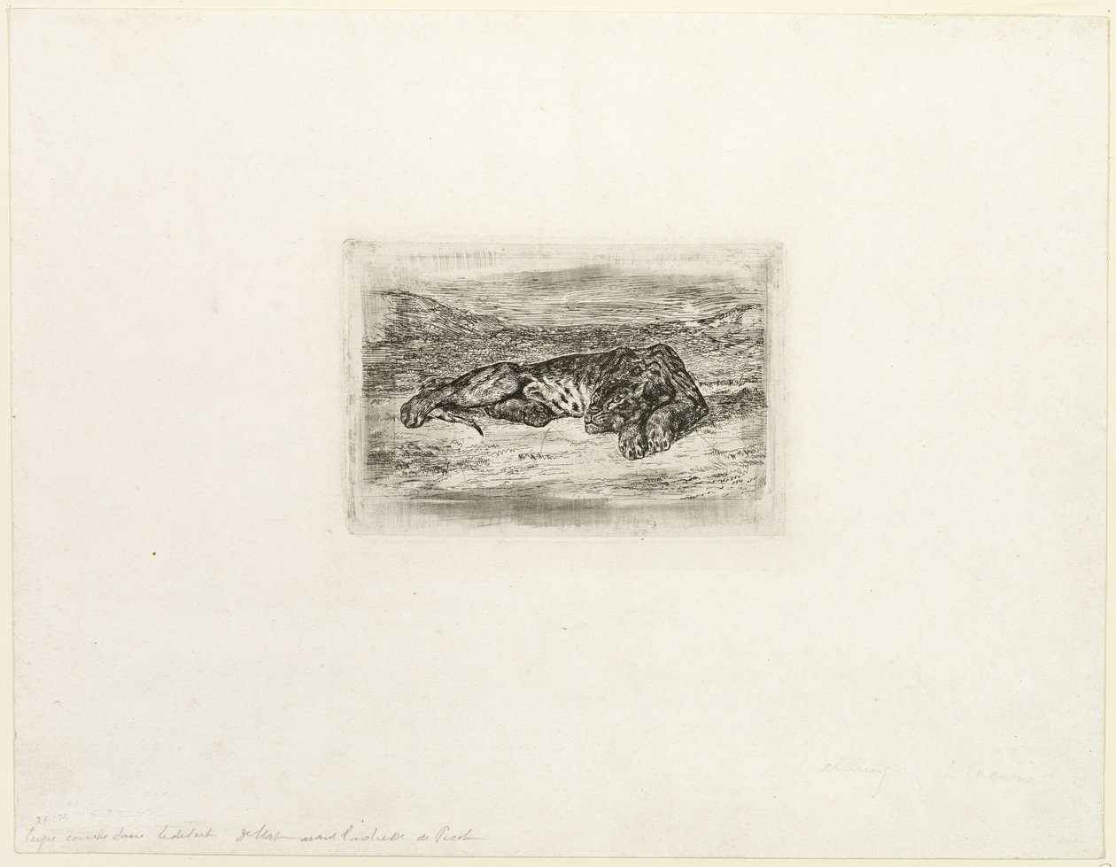 Tigris pihen a sivatagban alkotó: Eugène Delacroix