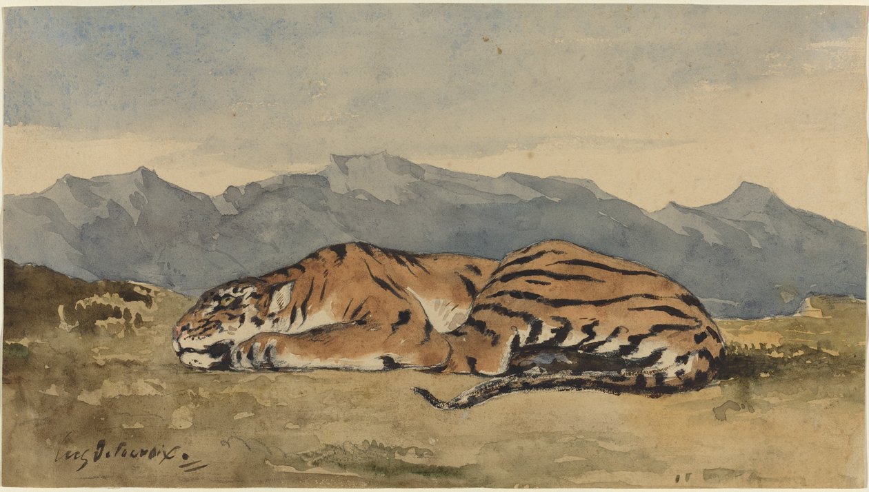 Tigris, c. 1830. alkotó: Eugène Delacroix