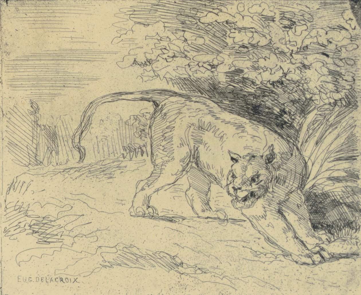 Tigre en Arrêt alkotó: Eugène Delacroix