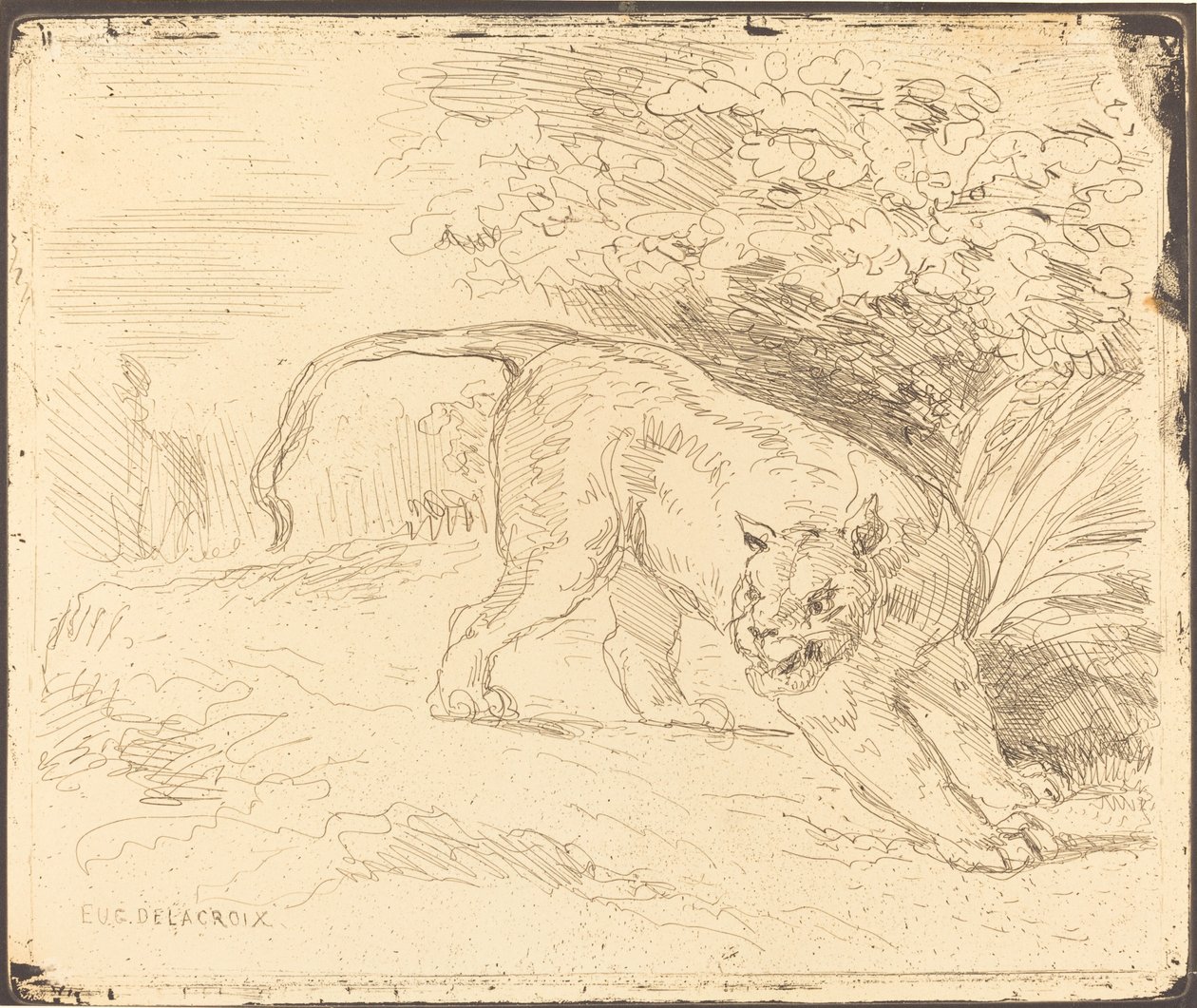 Tigris megáll alkotó: Eugène Delacroix