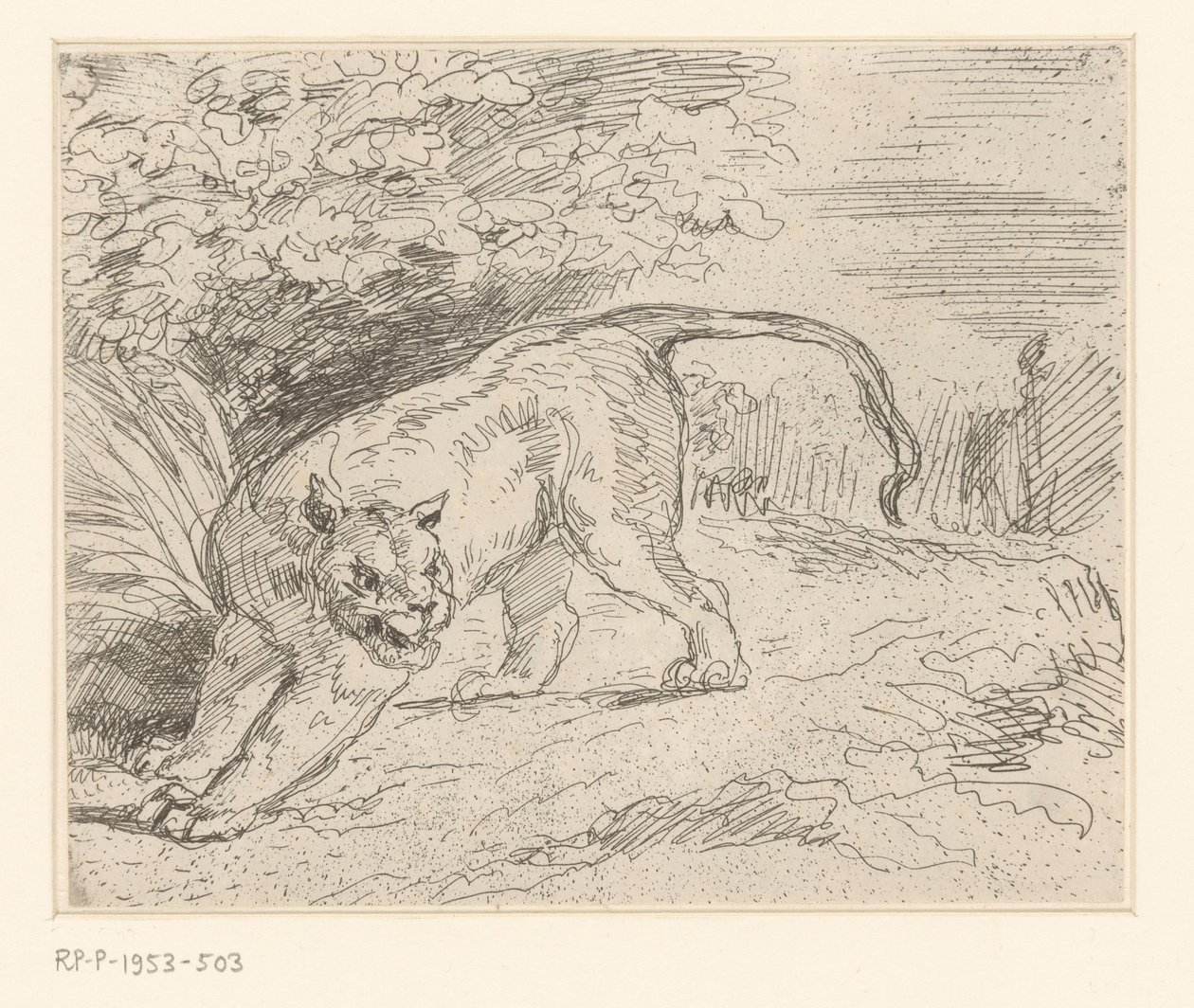 Tijger Tigris megáll alkotó: Eugène Delacroix