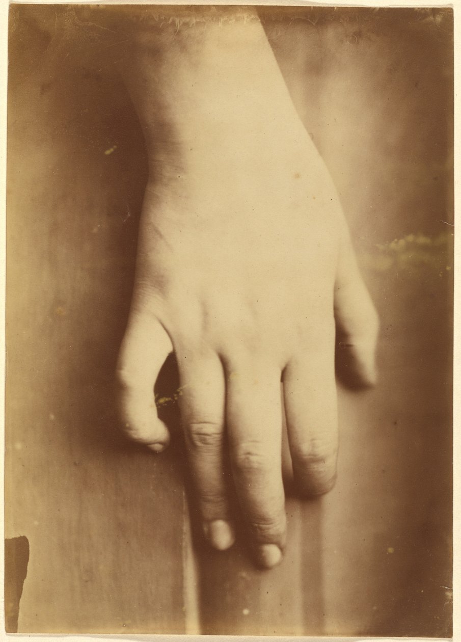 Egy kéz tanulmányozása alkotó: European 19th Century