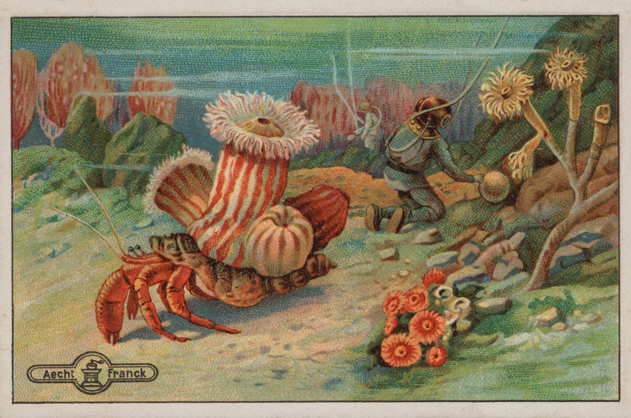 Jelenet a tengerfenéken (chromolitho) alkotó: European School