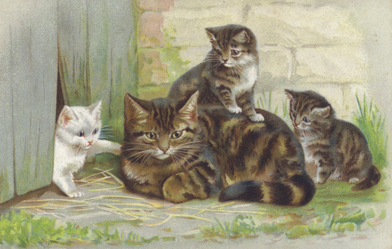 Cirmos macska három kiscicával (chromolitho) alkotó: European School