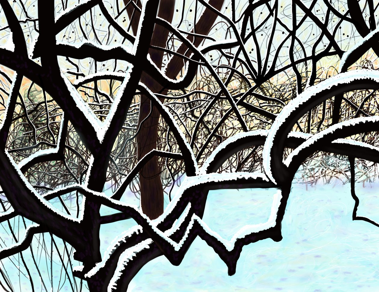 Cseresznyefa hóban, Brooklyn (digitális művészet) alkotó: Evan Sklar