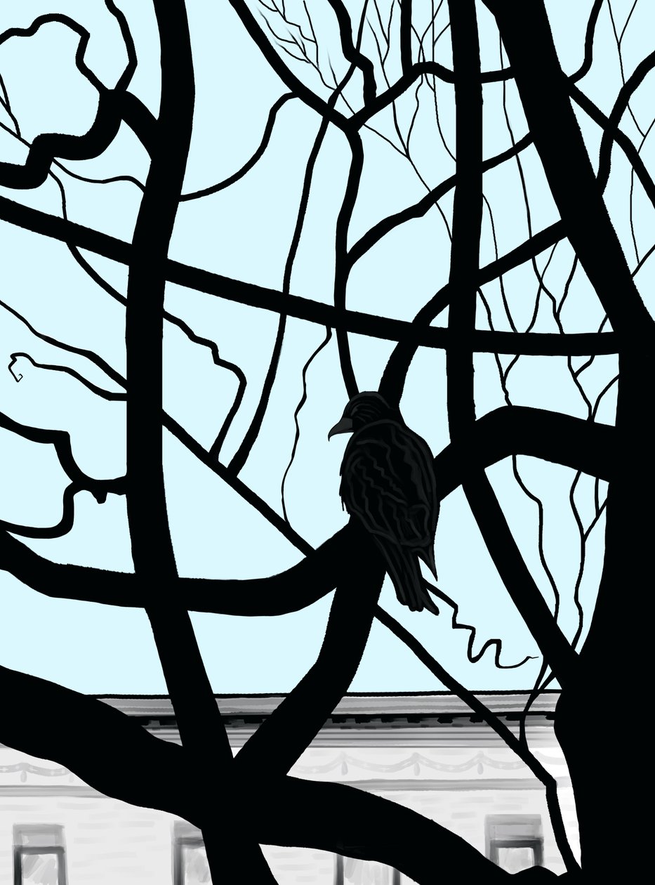 Hawk On Branch In City (digitális művészet) alkotó: Evan Sklar