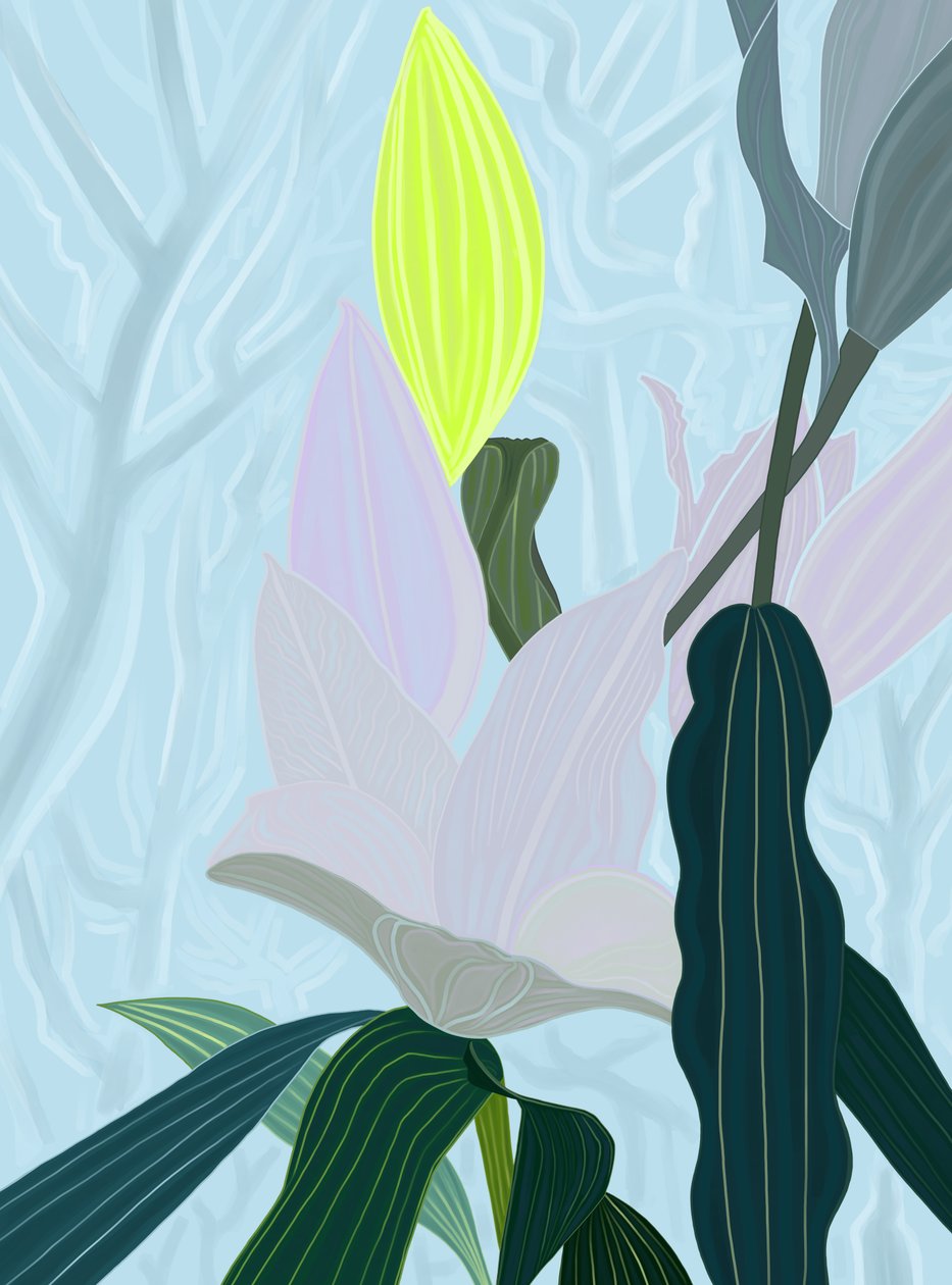 Lily (digitális művészet) alkotó: Evan Sklar