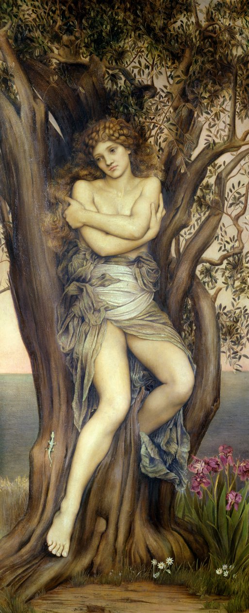 A Dryad, 1884-85 alkotó: Evelyn De Morgan