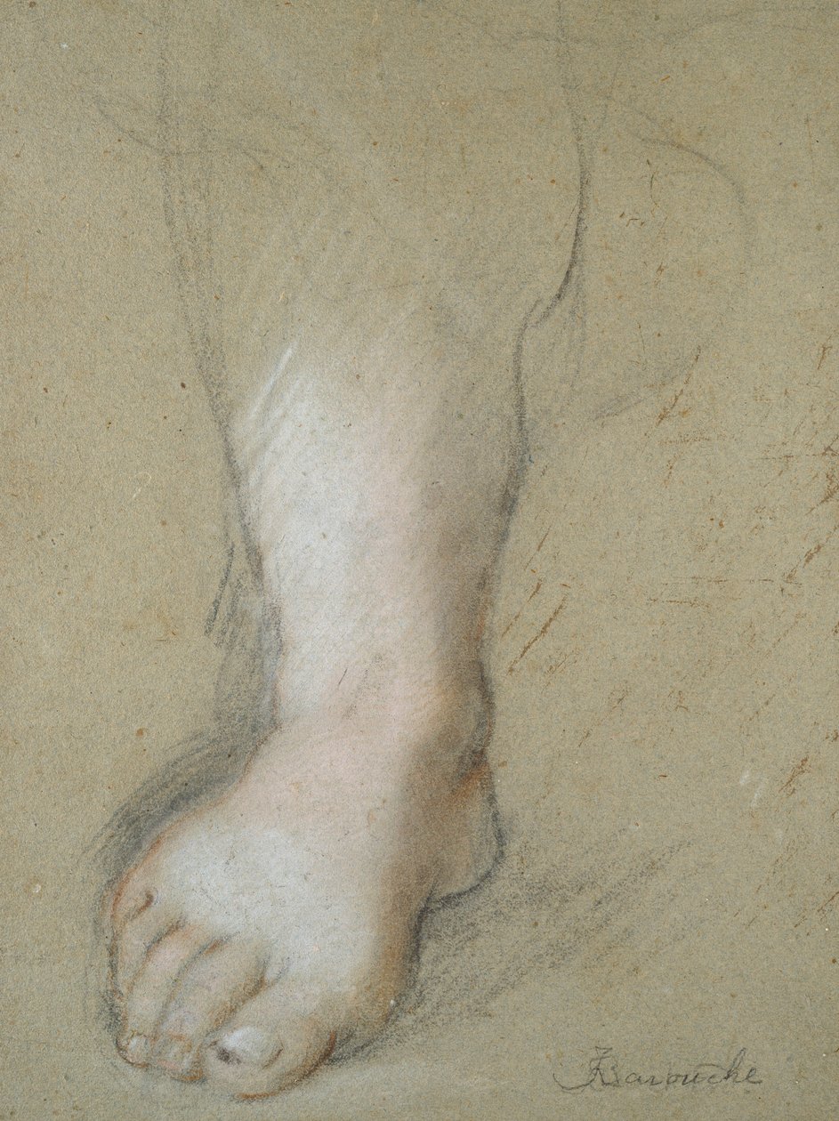 Tanulmány egy lábról, 16. század vége alkotó: Federico Barocci