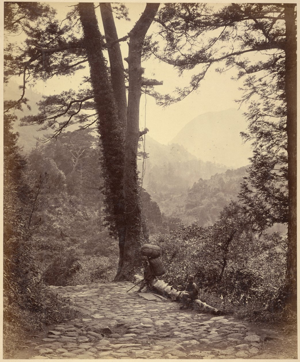Kilátás a Hakone-hágóra alkotó: Felice Beato