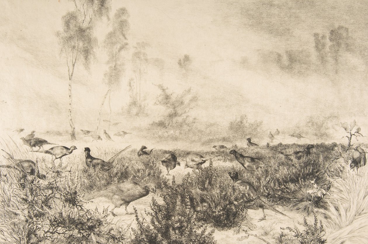 Reggeli ködök, 1882. alkotó: Felix Bracquemond