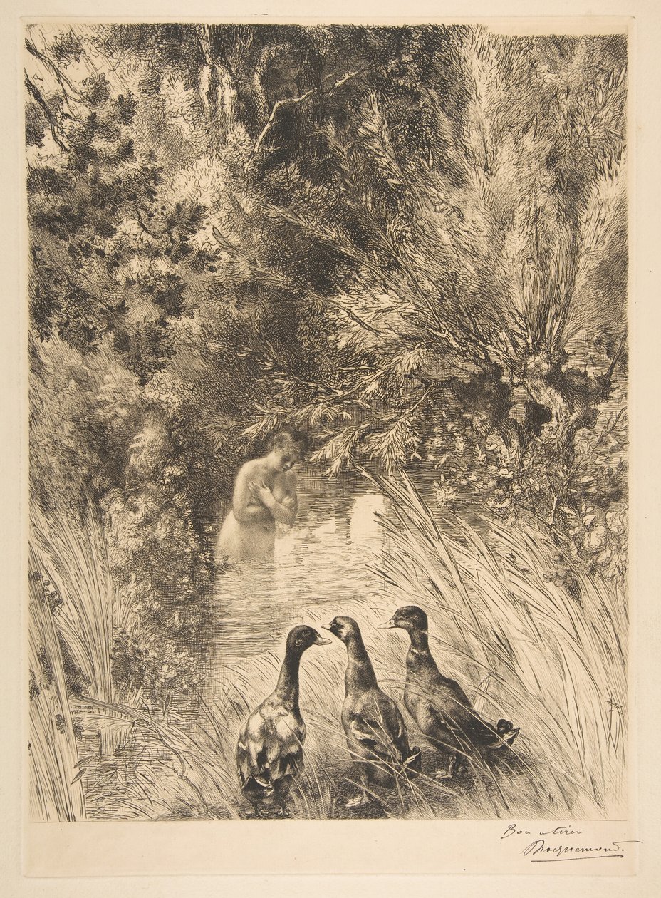 Meglepett kacsák, 1882. alkotó: Felix Bracquemond