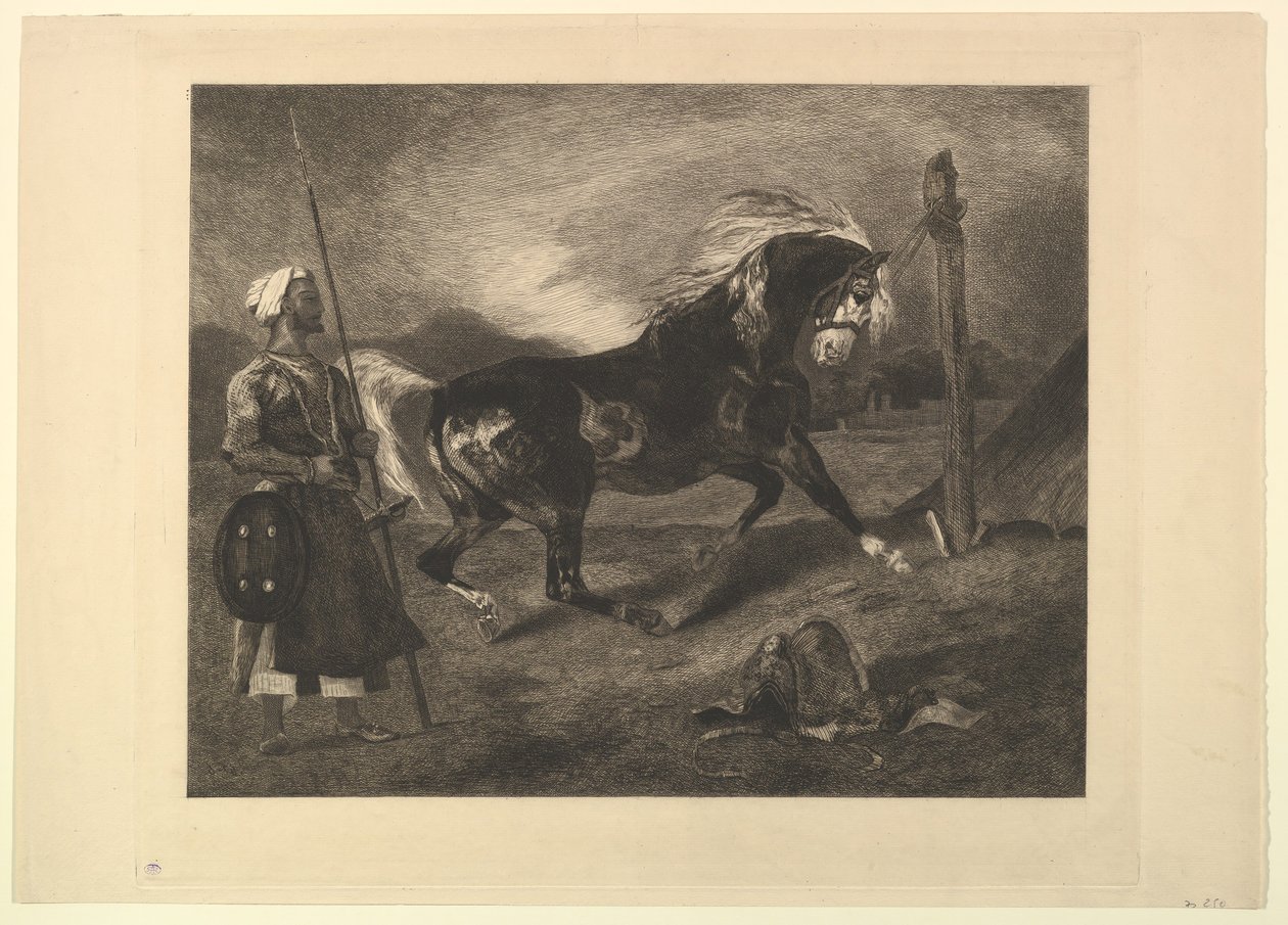 Arab ló a karón, Delacroix után, 1857. alkotó: Felix Bracquemond