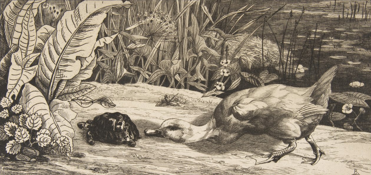 Az ismeretlen, 1862. alkotó: Felix Bracquemond