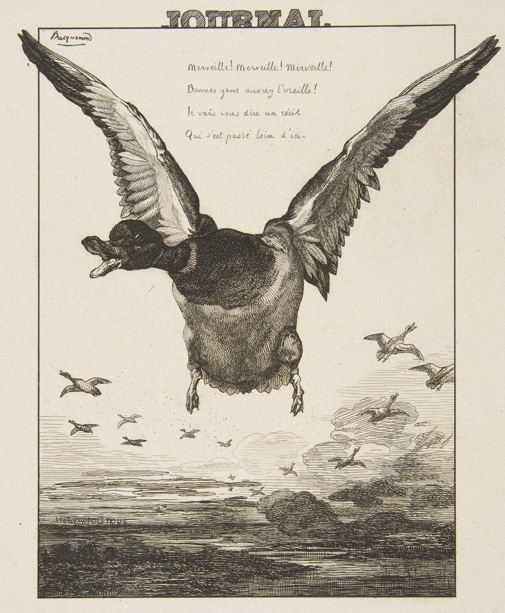 A kacsa, 1856. alkotó: Felix Bracquemond
