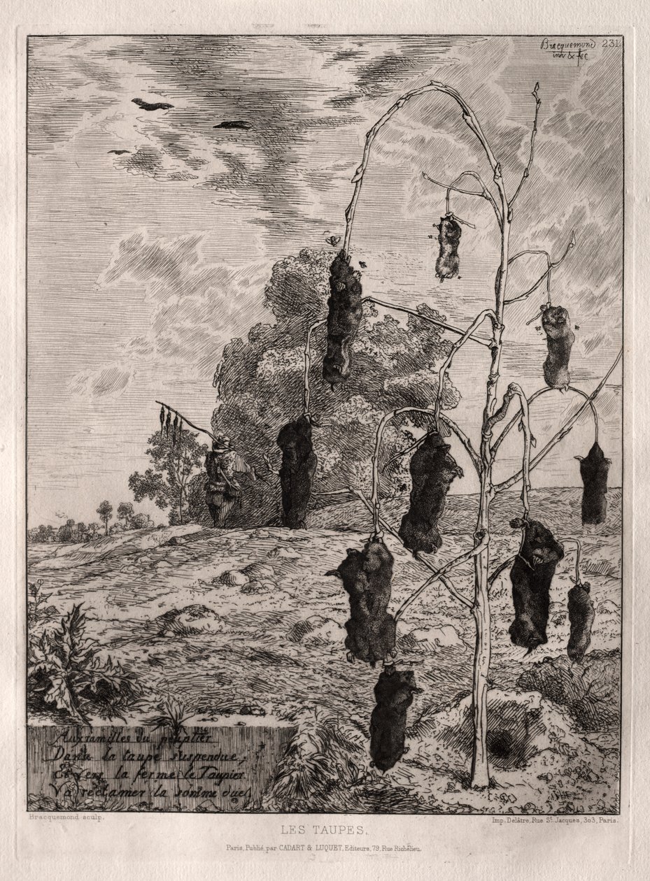 Vakondok alkotó: Felix Bracquemond