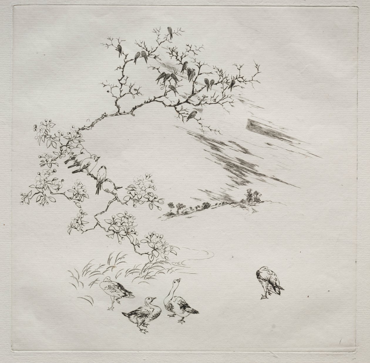 Párizsi szolgálat (Haviland szolgáltatás): Éjszaka (7. sz.) alkotó: Felix Bracquemond