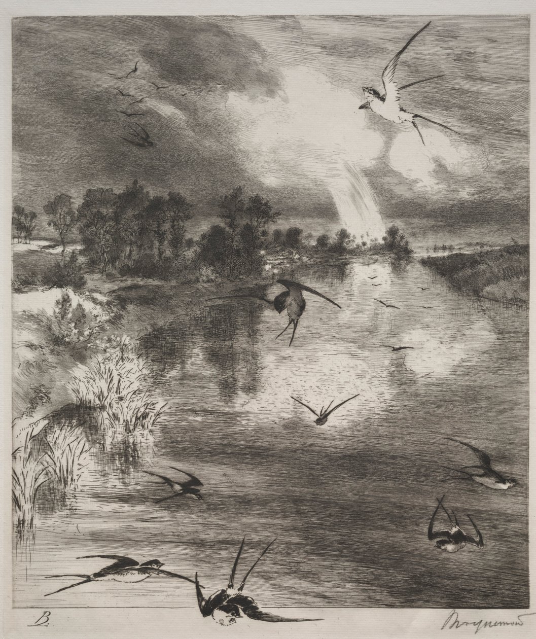 Fecskék, 1882. alkotó: Felix Bracquemond
