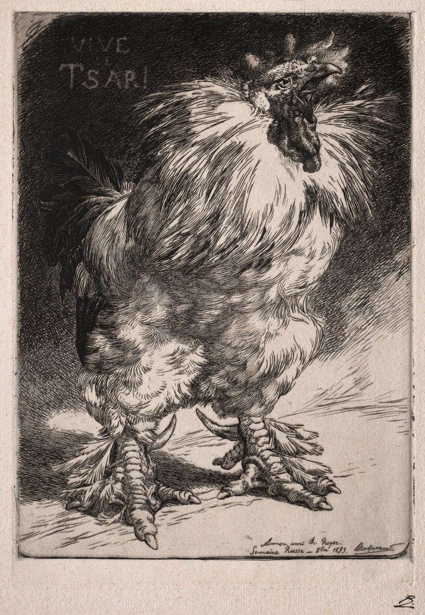 A francia kakas, 1893. alkotó: Felix Bracquemond