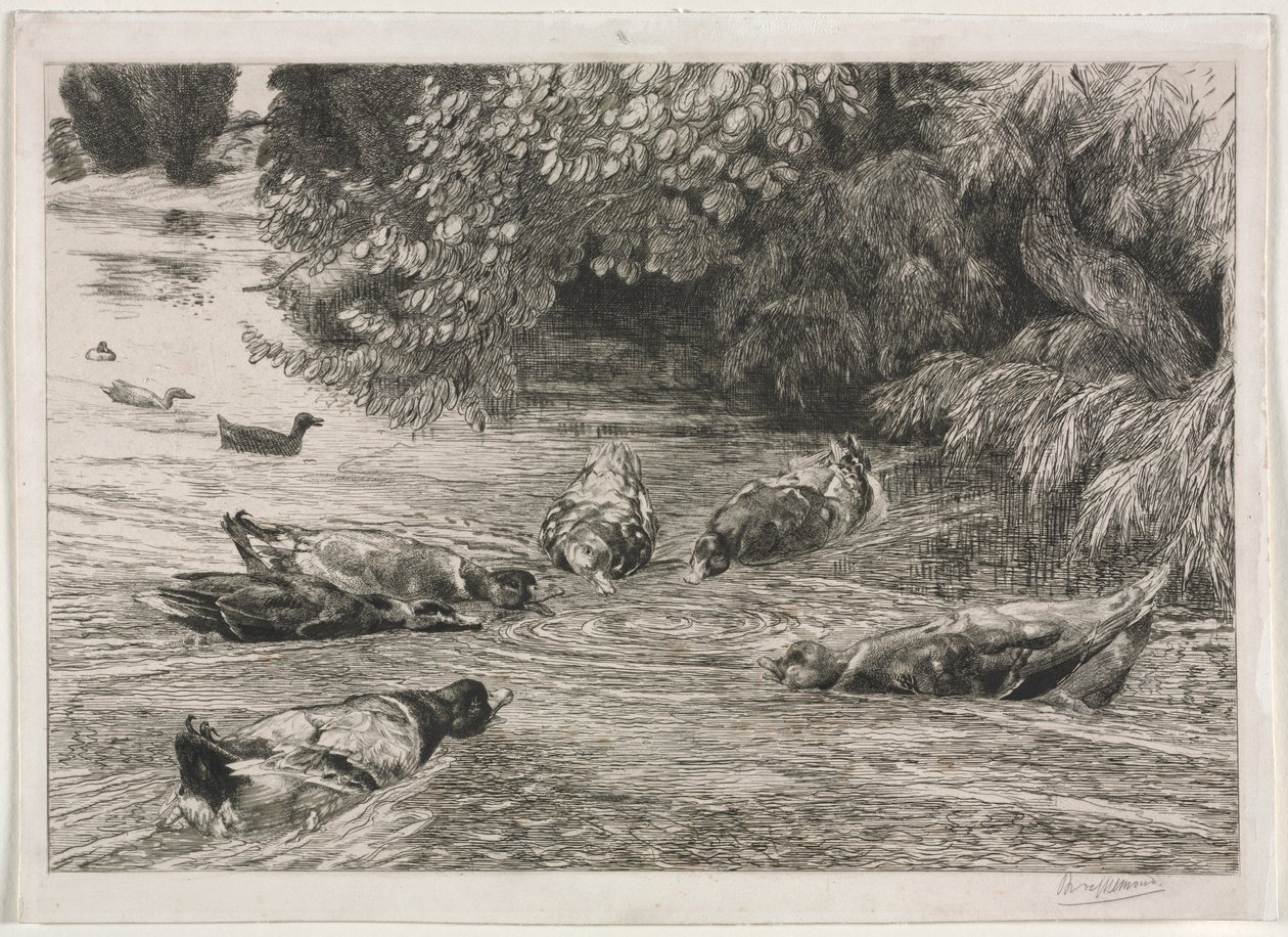 A kérdőjel alkotó: Felix Bracquemond