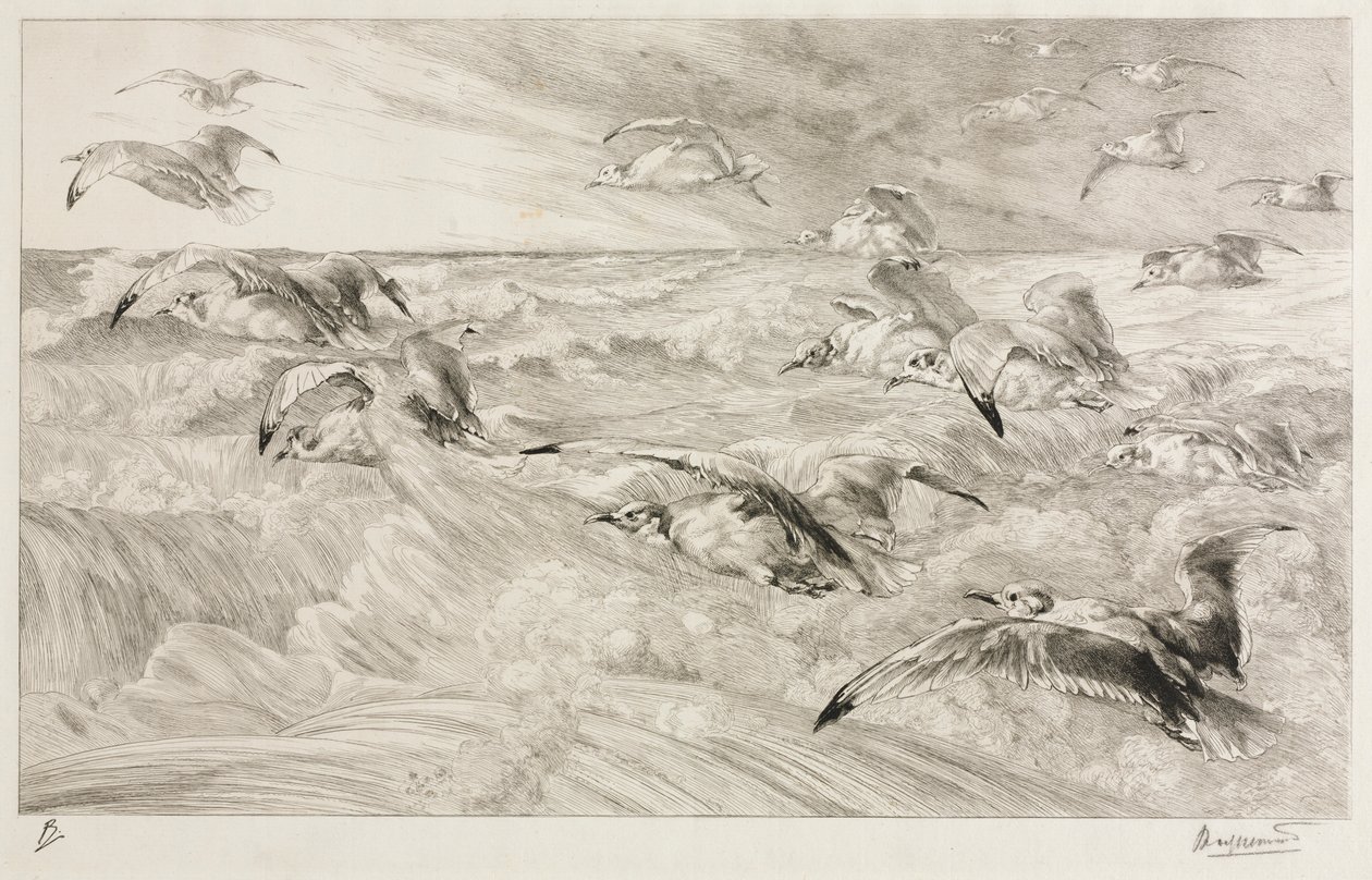 A sirályok, c. 1880. alkotó: Felix Bracquemond