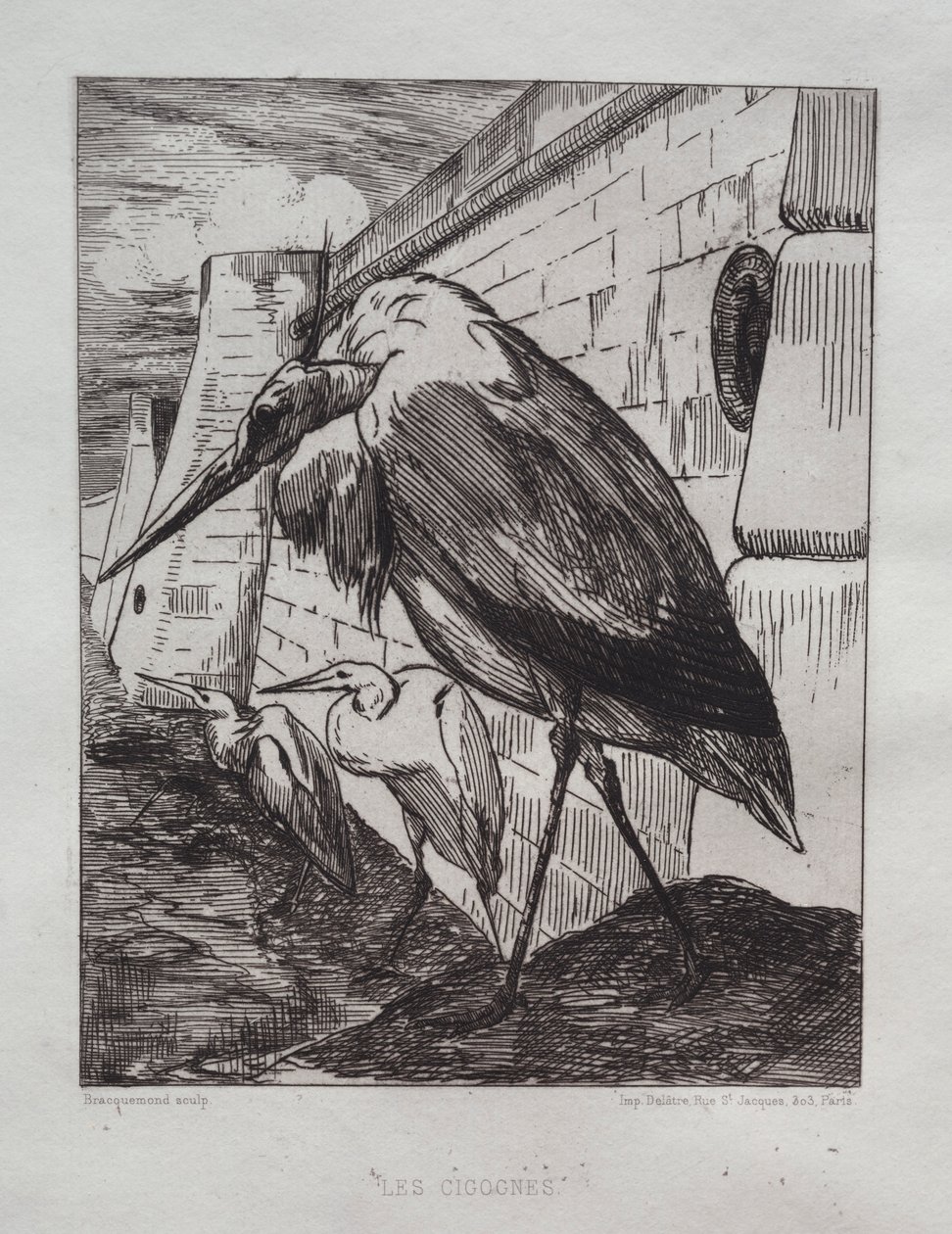 A gólyák, 1865. alkotó: Felix Bracquemond