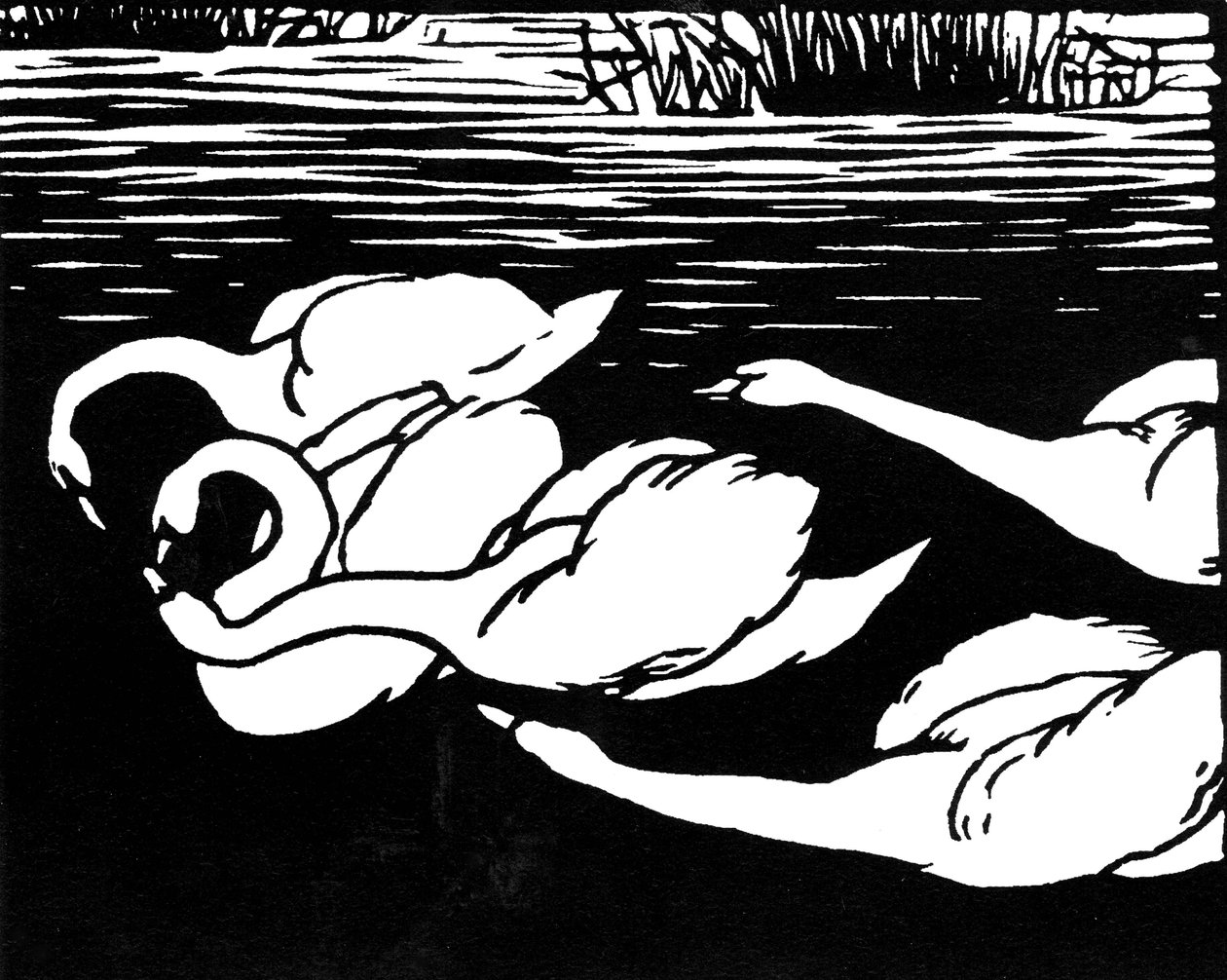 Hattyúk, 1892. alkotó: Felix Edouard Vallotton