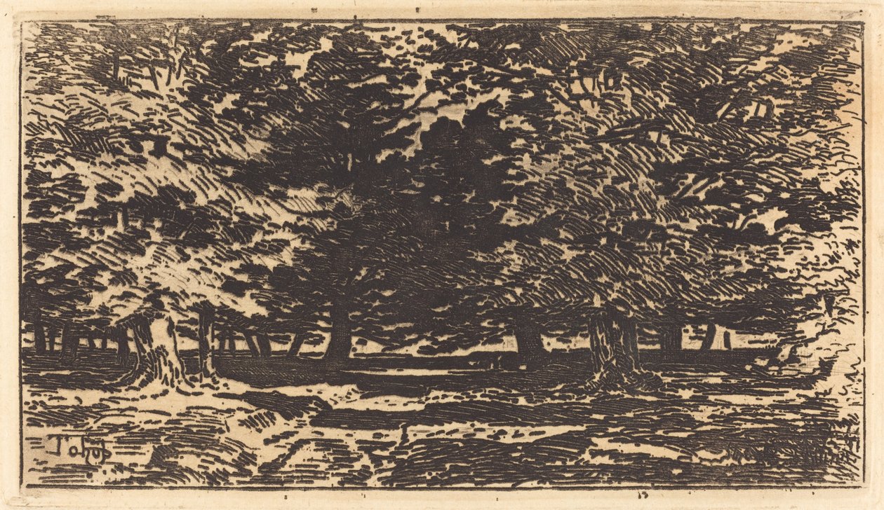 Erdő alkotó: Felix Hilaire Buhot