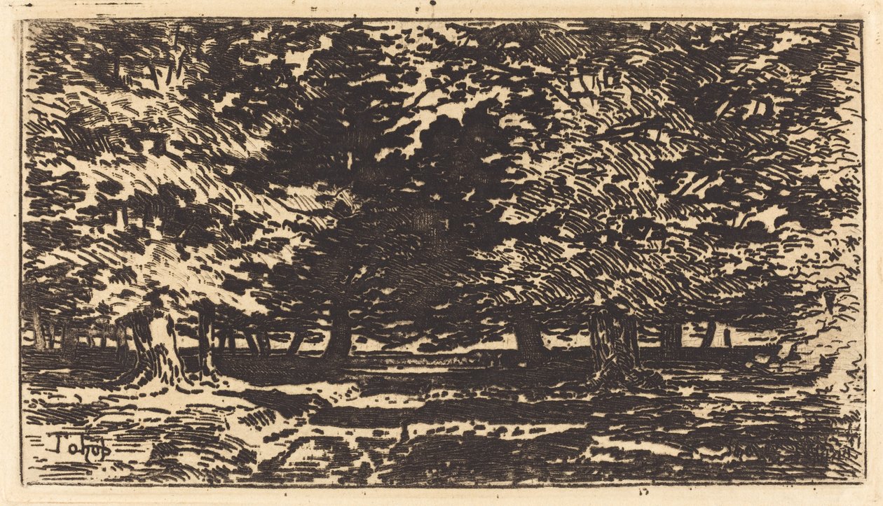 Erdő alkotó: Felix Hilaire Buhot