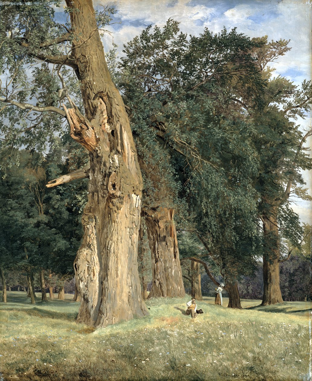 Régi szilfák a Práterben, 1831 alkotó: Ferdinand Georg Waldmuller