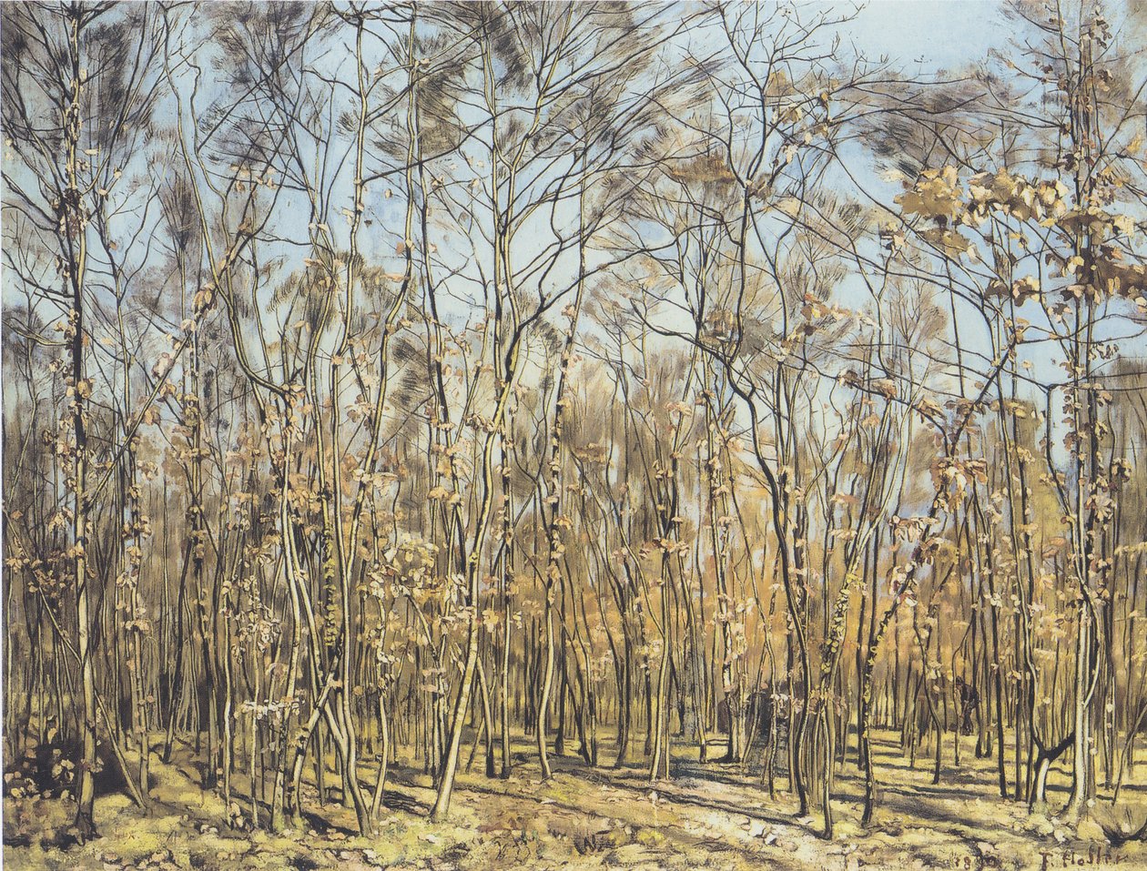 A bükkös erdő alkotó: Ferdinand Hodler