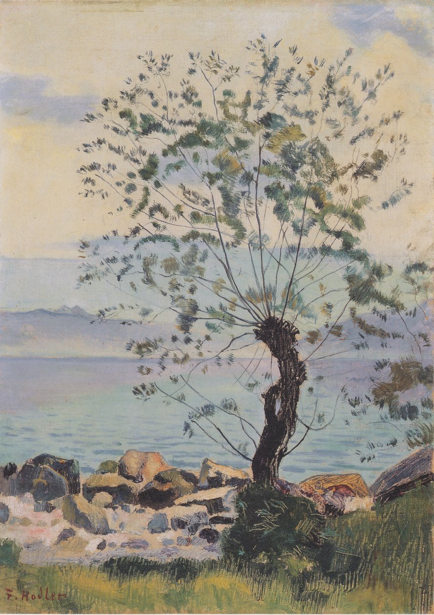 Weidebaum am See alkotó: Ferdinand Hodler