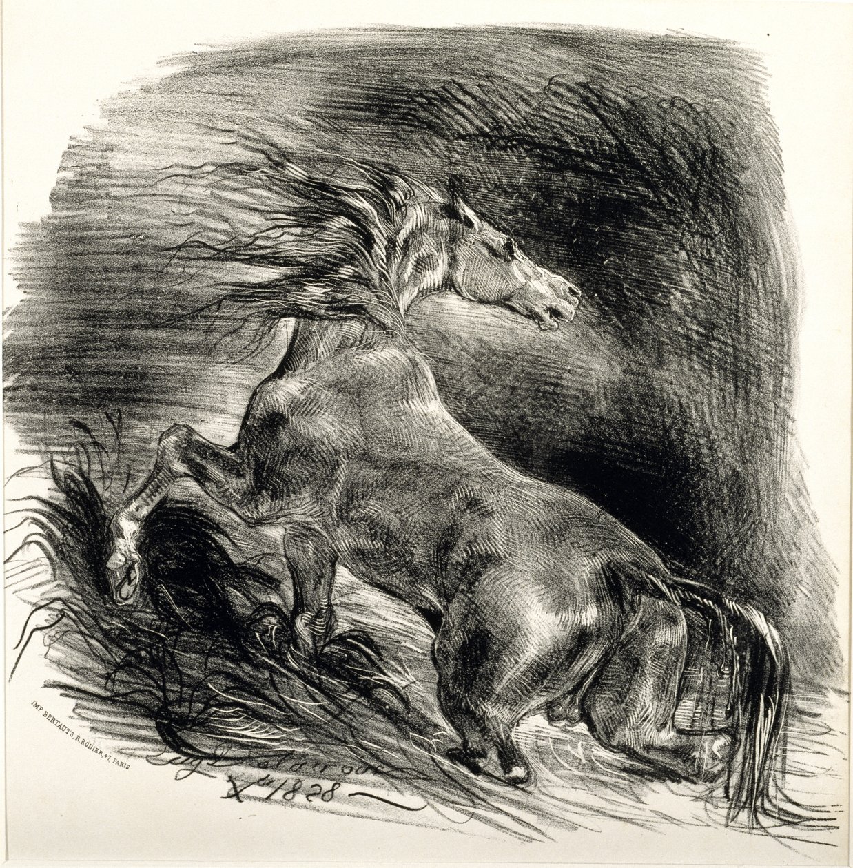 Cheval sauvage, 1828 (litho szőtt papíron) alkotó: Ferdinand Victor Eugene Delacroix