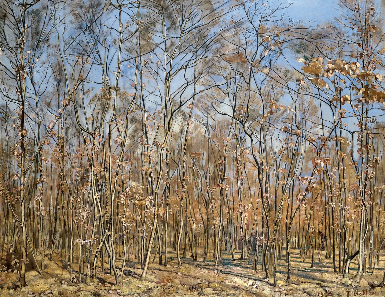 Bükkerdő, 1885-1894. alkotó: Ferdinand Hodler