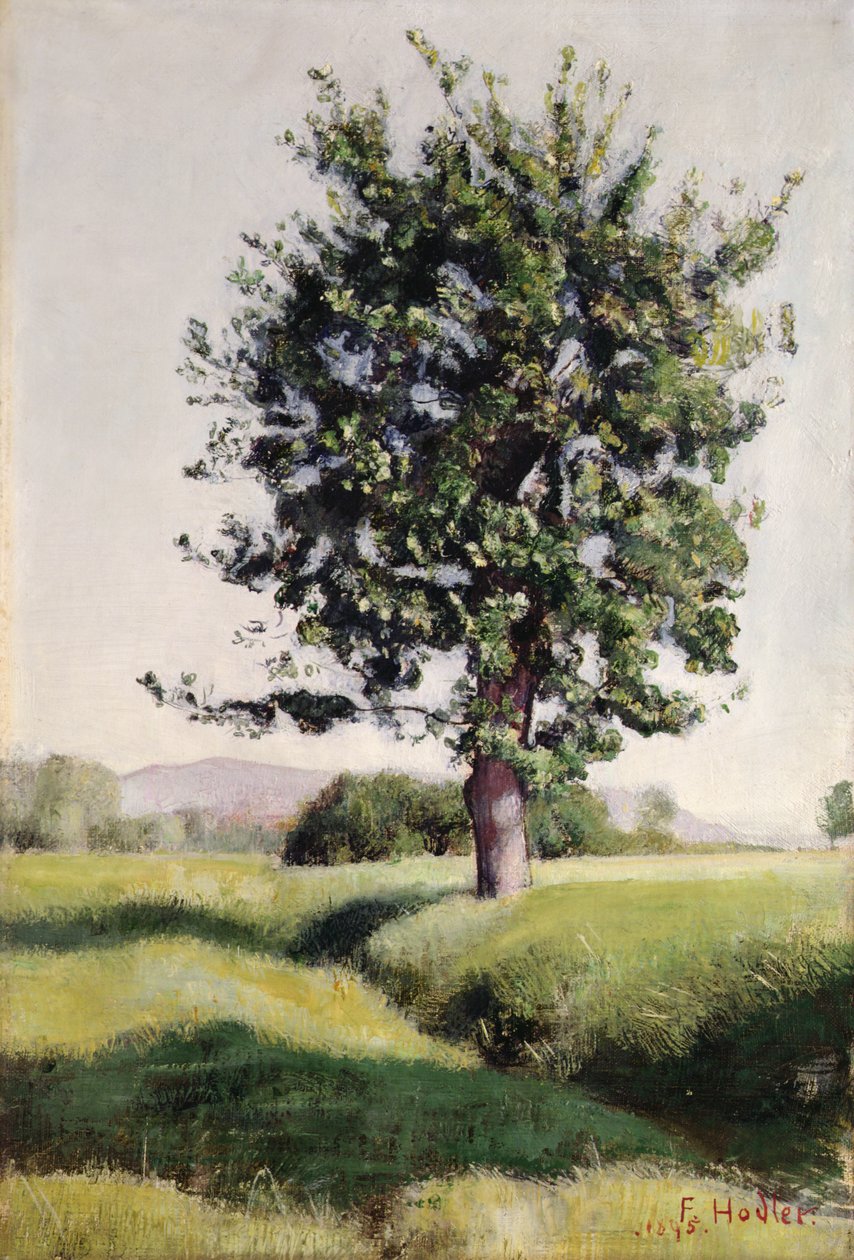 A fa alkotó: Ferdinand Hodler