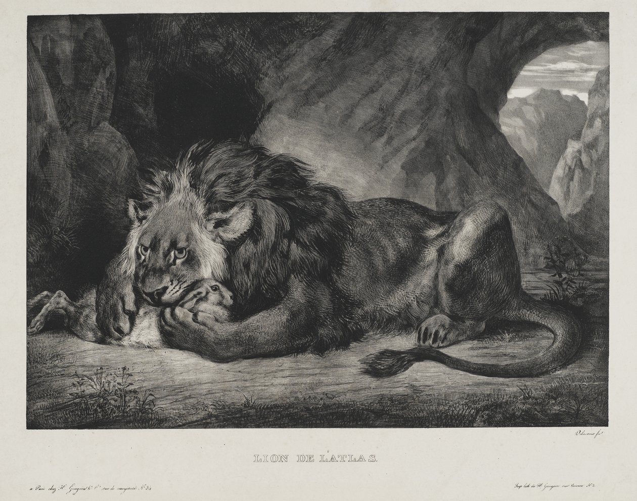Oroszlán az atlaszból, 1829 alkotó: Ferdinand Victor Eugene Delacroix