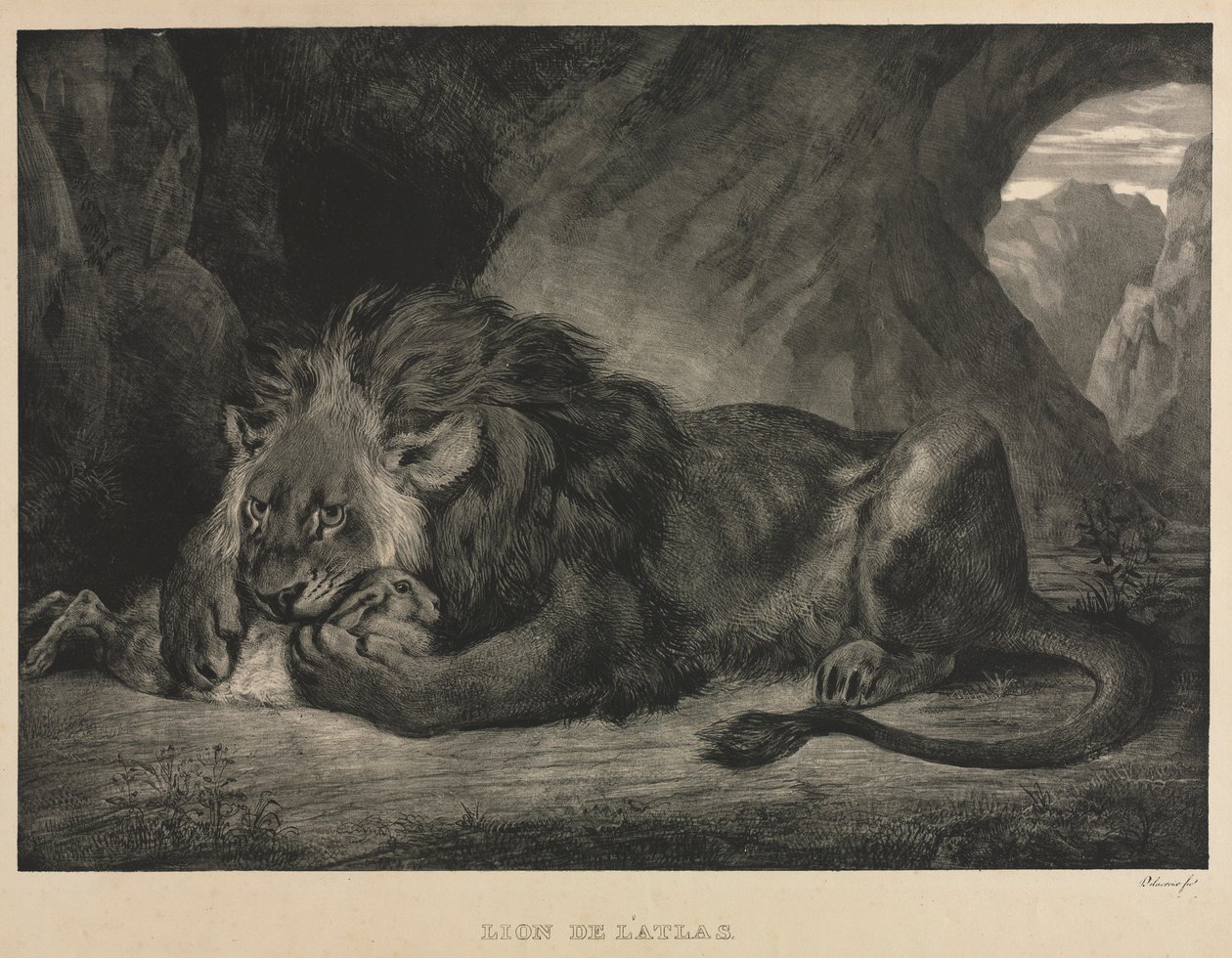 Atlasz oroszlánja, 1829. alkotó: Ferdinand Victor Eugene Delacroix
