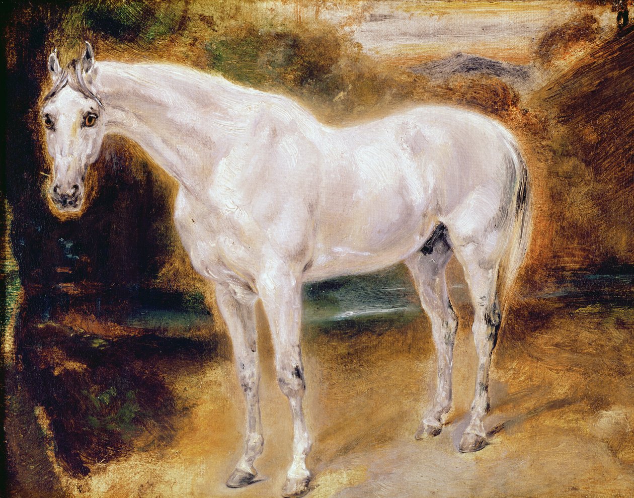Fehér Ló alkotó: Ferdinand Victor Eugene Delacroix