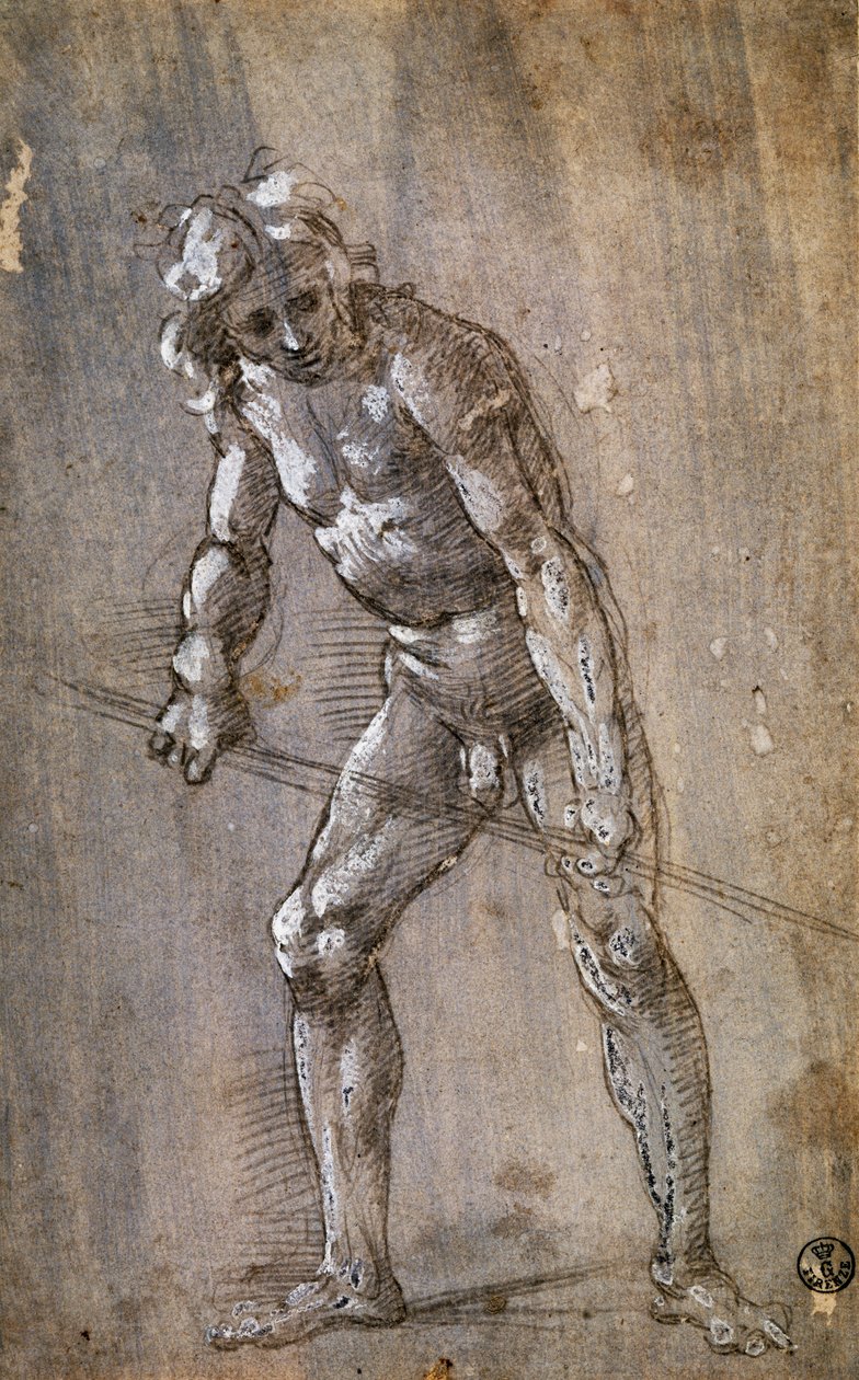 Férfialak alkotó: Filippino Lippi