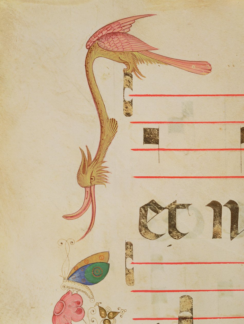Mise 515 f.9r Fantasztikus pillangóra vadászó madár, díszítő szegélyrészlet egy 1449 előtt készült kóruskönyvből alkotó: Filippo di Matteo Torelli